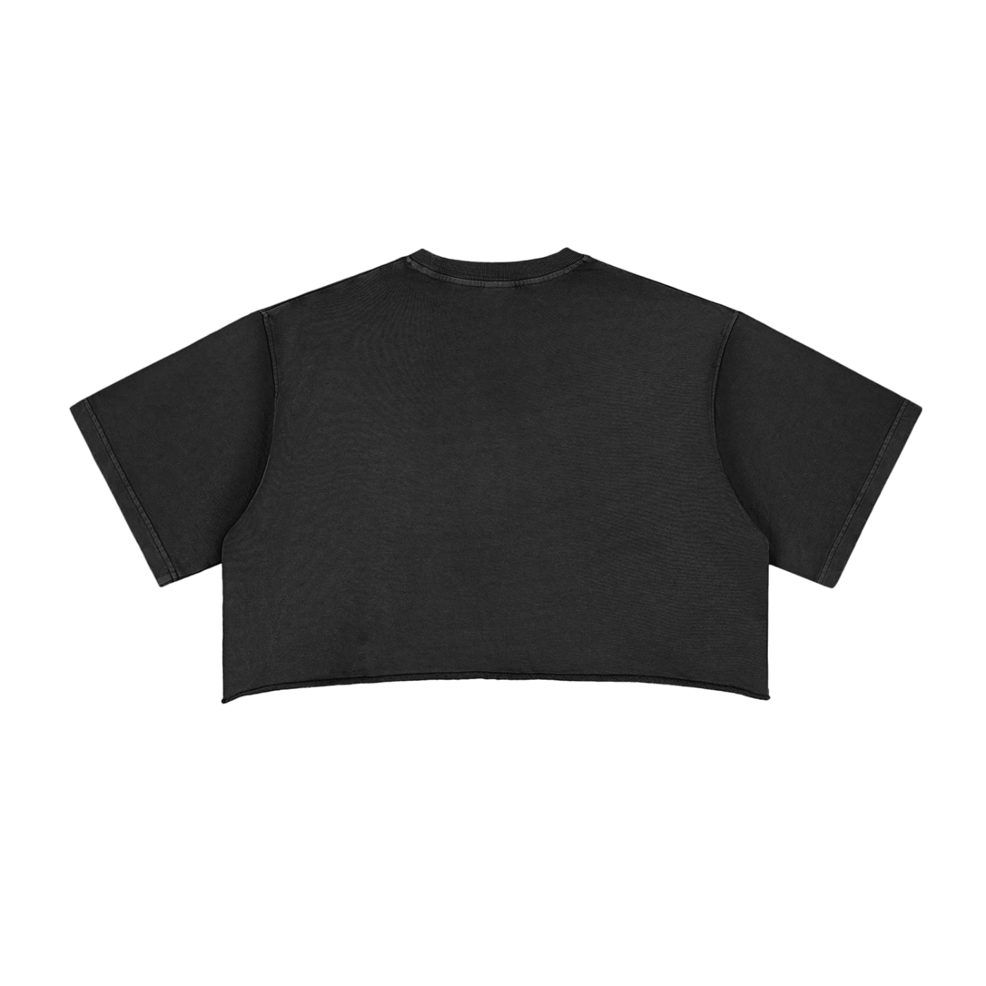 BS Crop Top (Female)