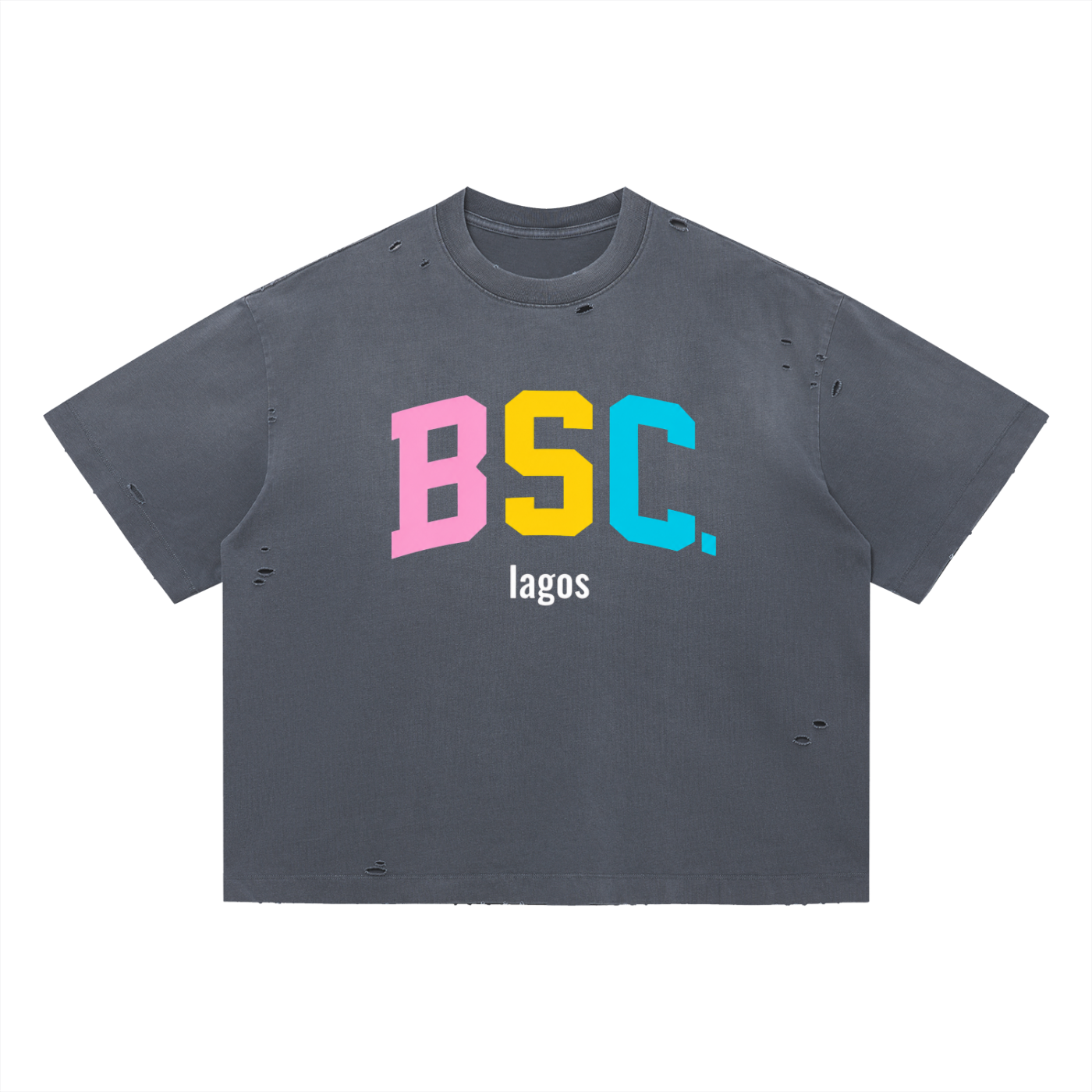 BSC lagos Color Logo