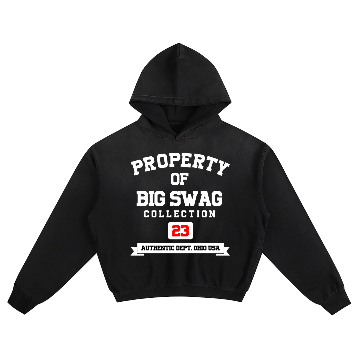 Property Of Big Swag Collection Hoodie